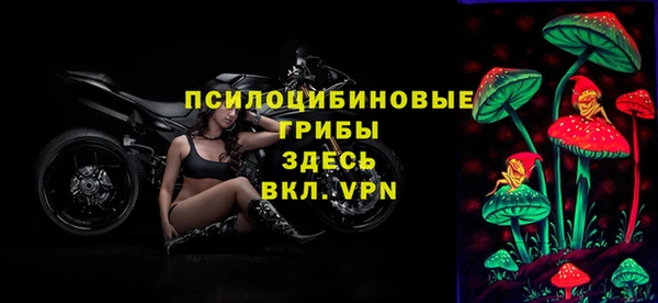 спайс Заводоуковск