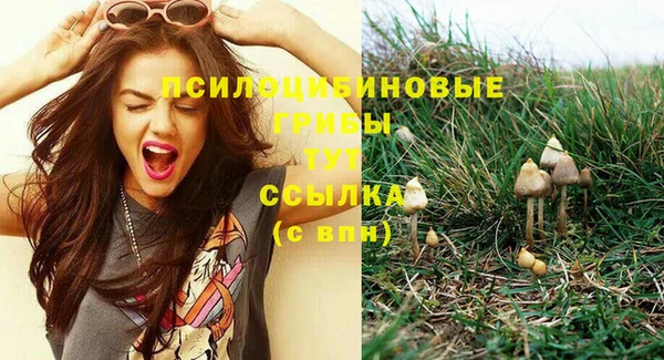 mdpv Заволжск