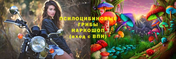 гидра Апатиты