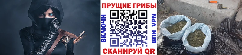 сколько стоит  Каргат  Галлюциногенные грибы Magic Shrooms 